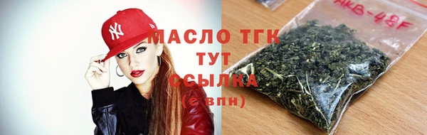 меф Дмитриев