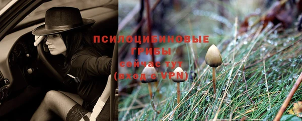 экстази Дмитров