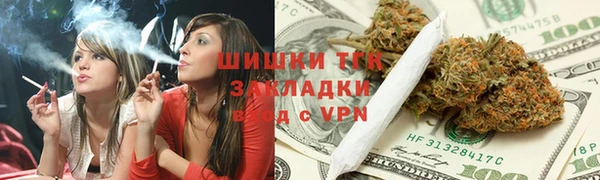 меф Дмитриев